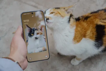 BetCart Casino Farsímaforrit